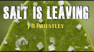 Salt Is Leaving by J. B. PRIESTLEY