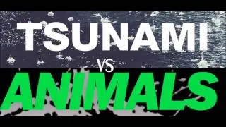 TSUNAMI vs ANIMALS