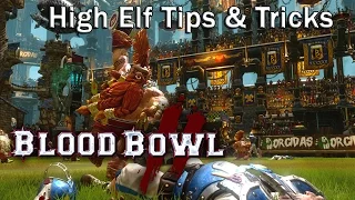 High Elf Coaching : Starting Lineup, Tips & Tricks [Blood Bowl 2]