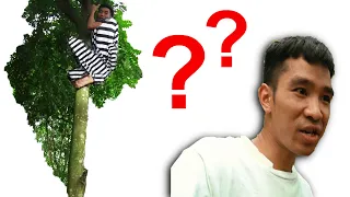 Vượt Ngục | Thoát Khỏi Rừng | Prison Break | Escape the Forest | PHD Troll