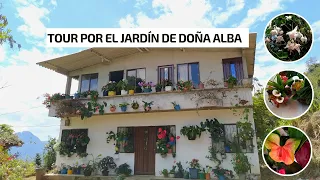 Tour por el Jardín de doña Alba, un jardín con muchos anturios, geranios, pendientes de la reina 🌸🌼🍀