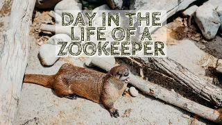 Day in the life of a ZooKeeper at ZooMontana