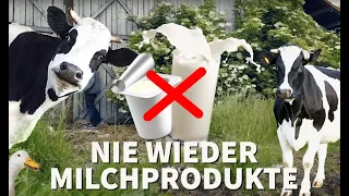 Nie wieder Milchprodukte! - Reaktion auf Robert Marc Lehmann: Das Dunkle Geheimnis der Milchbetriebe