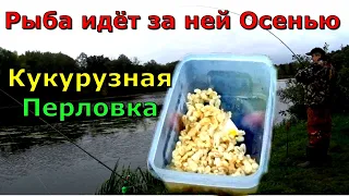 КУКУРУЗНАЯ ПЕРЛОВКА. Супер рыболовная насадка по холодной воде. Насадка для карася леща карпа .