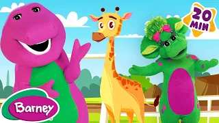 What Will We See At The Zoo + More Barney Nursery Rhymes and Kids Songs