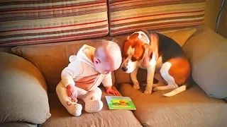 Cute Dogs Love Babies 🐶👶 Cute Dogs Babysitting Babies (Part 2) [Epic Life]