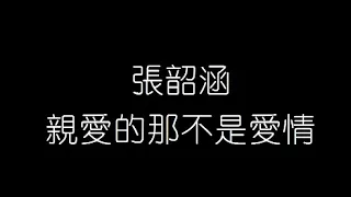 張韶涵   親愛的那不是愛情 無損音樂FLAC 歌詞LYRICS 純享