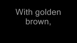 The Stranglers, Golden brown lyrics, In sync with song.