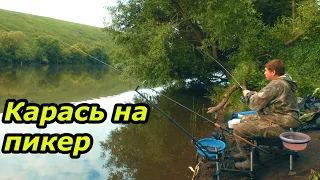 Ловля карася на пикер и фидер. Рыбалка на реке Сосна в живописном месте