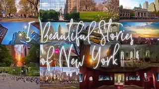 5 Beautiful Stories of New York City Vacation Travel Guide 4K
