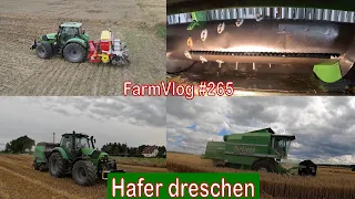 Farmvlog  #265: Hafer dreschen | Zwischenfrucht säen | Schneidwerksoptimierung