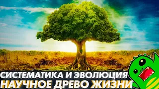 НА ПАЛЬЦАХ О ДРЕВЕ ЖИЗНИ: КАК ИЗОБРАЗИТЬ ХОД ЭВОЛЮЦИИ? | Доказательства эволюции