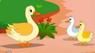 Two Little Ducks - Nursery Rhyme With Lyrics