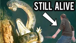 What if titanoboa never went extinct?