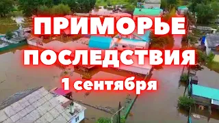 Наводнение в Приморском крае сегодня страшные последствия  Сколько выплатят компенсацию государство