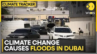 Dubai floods: Dubai roads, airport reel from floods after record rains | WION Climate Tracker