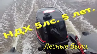 НДХ 5 л.с..Лодочный мотор ндх.5 л.с. 4 такта. обзор за 5 лет..