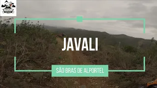 S. BRAS DE ALPORTEL - TRILHO JAVALI (PEC 4 DIA DE TREINOS)