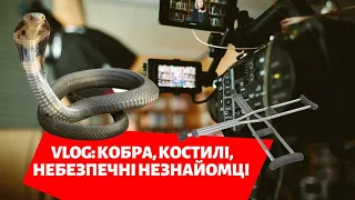 VLOG: КОБРА, КОСТИЛІ, НЕБЕЗПЕЧНІ НЕЗНАЙОМЦІ