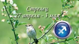 Прогноз на неделю  с 27 апреля по 3 мая для представителей знака зодиака Стрелец