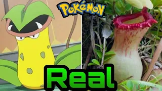 Pokemon's In Real Life 💥2022 | Grass Type Pokemon's In Real Life  🐛🦕| Pokemon Evolution's