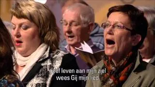 Psalm 119 vers 40 en 66 - Nederland Zingt