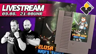 Pelusa Saga: Kaji's Trials | Rogue-like NES Retro-Style NES Commando Action | feat @brokestudio1940