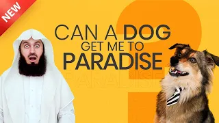 Can a Dog get me to Paradise?? - Mufti Menk