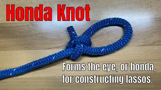 Honda Knot