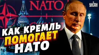 Путин предал российских солдат. Как Кремль помогает НАТО? - Цимбалюк