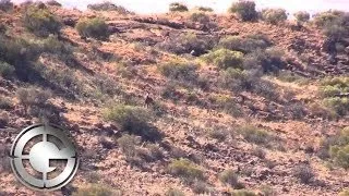 South African Kudu Hunt with Garrett Wall