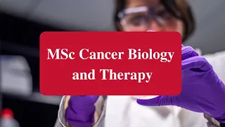 Cancer Biology and Therapy MSc | Open Day | University of Leeds