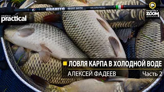 Ловля карпа в холодной воде. Алексей Фадеев.  Часть 2. Anglers Practical