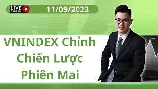 VNINDEX Chỉnh Chiến Lược Phiên Mai | Chứng Khoán Thế Vũ