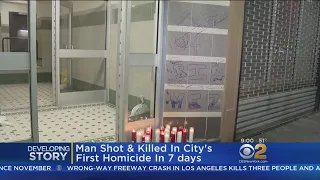 Man Shot To Death In The Bronx