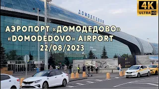 «Domodedovo» Airport Moscow 2023/08/22. 4K