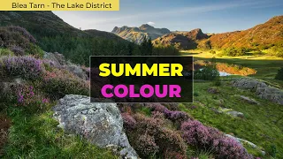 SUMMER COLOUR AT BLEA TARN - Lake District Landscape Photography