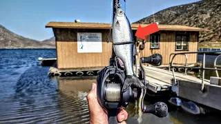 Fall Fishing For Giant Bass!-Savage Gear 3D Shine Glide