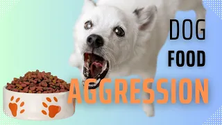 How to STOP Food Aggression in Dogs - A Step By Step Guide