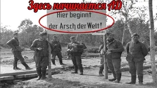 Немцы поставили табличку - "Здесь начинается Ад". Волховский фронт - военные истории