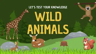Vocabulary about Wild Animals.