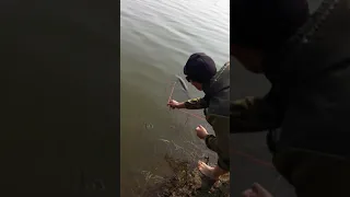 ципа 2019 рыбалка