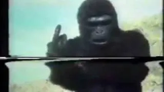 Ape Super Kong