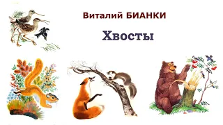 Сказка "Хвосты" В.Бианки - Слушать