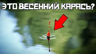 ПОПАЛИ НА ЖОР в ПРУДУ! Только закинул и КЛЮЁТ! Ловля карася весной!