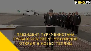 Президент Туркменистана Гурбангулы Бердымухамедов открыл 6 новых теплиц
