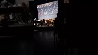 Joe Hisaishi, concert symphonique Ghibli, Nausicaa