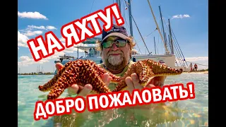 Как стать яхтсменом | Путь на парусную яхту доступный каждому!