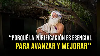 "Las CLAVES para limpiar tu AURA" | Sadhguru en español.