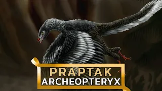 Archeopteryx - jurajski praptak, brakujące ogniwo ewolucji